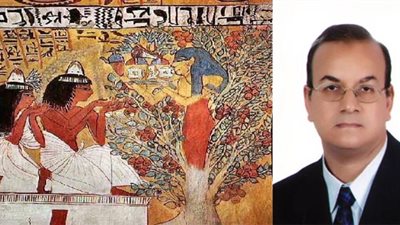 أصولها فرعونية.. خبير آثار يكشف مفاجأة بشأن شجرة الكريسماس