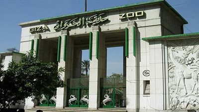 بـ5 جنيهات فقط بدلًا من 65.. حديقة الحيوان تفتح أبوابها للمواطنين