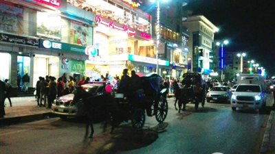 أجواء احتفالية مبهجة تعم شوارع أسوان في ليلة رأس السنة