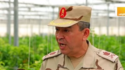 الوطنية للزراعات المحمية: 300 ألف فرصة عمل يومية للشباب