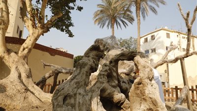 وزير السياحة يتفقد تطوير منطقة 