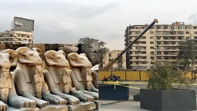 القصة الكاملة لأزمة نقل كباش الأقصر إلى التحرير.. محسن صالح: حماية الأثار بالميدان ليست مستحيلة