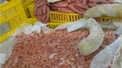 ضبط 2 طن دواجن ولحوم غير صالحة للاستهلاك الآدمي بثلاجة بالخانكة