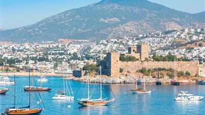 بعد مقتل سليماني .. بريطانيا تطلب من مواطنيها في تركيا 