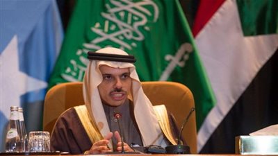 الأمير فيصل: توجيهات القادة لها أثر بالغ في تأسيس مجلس الدول المشاطئة