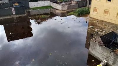 في أول تحدي له.. محافظ كفر الشيخ يفشل في مواجهة أمطار الشتاء (صور)