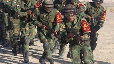 شاهد.. القوات المسلحة تنفذ المرحلة النهائية للمناورة 