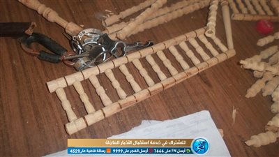 صناعة الأرابيسك من مخلفات النخيل يواجه شبح الانقراض بالوادي الجديد (فيديو)