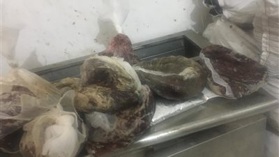 ضبط ١٩٠ كيلو لحوم فاسدة بالغربية 