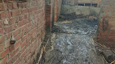 التفاصيل الكاملة لانفجار اسطوانات الغاز بالمنوفية (صور)