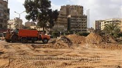 أستاذ طرق يكشف السبب الحقيقي لقطع أشجار مصر الجديدة