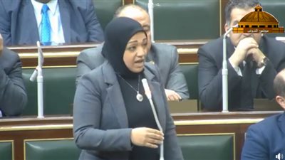 إقالة وزيرة الصحة.. نائبة برلمانية تطالب بمحاسبتها بقانون العقوبات (فيديو)
