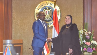  وزيرا صناعة مصر والكونغو يبحثان تعزيز التعاون الصناعى 