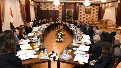 وزيرة التخطيط تناقش مهام لجان المجلس القومي للأجور