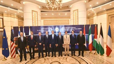 كمراقب دائم.. أمريكا تطلب الإنضمام إلى منتدي غاز شرق المتوسط 