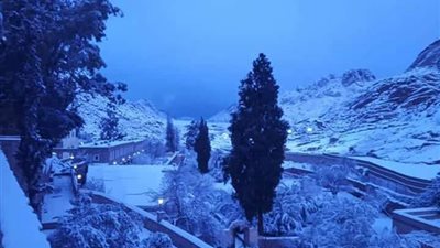  كيف يعيش أهل