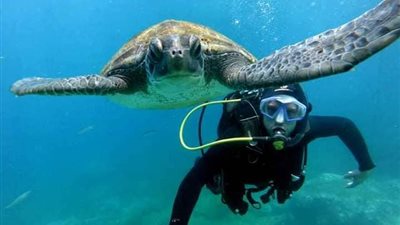 سياحة الغوص مهددة بالتوقف في شرم الشيخ.. والسبب 