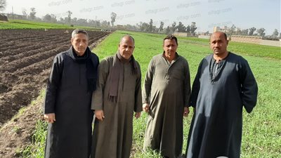 مهددون بالطرد من أرضهم.. 105 أسر في القليوبية يستغيثون بالرئيس 