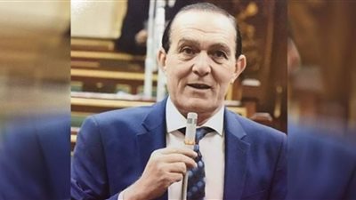 برلماني: مصر سبقت الجميع في التحذير من خطر الإرهاب بليبيا