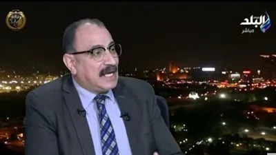 أستاذ علوم سياسية: السيسي صاحب الإحياء الثاني للقارة الأفريقية