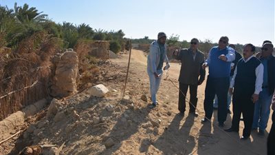 محافظ الوادي يأمر بتعويض الأهالي عقب إزالة نخيل 