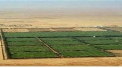 حكم الشرع في أخذ مكافأة على رد الحقوق لأصحابها