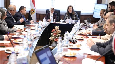 الصحة: ميكنة الرعايات والحضانات وأقسام الطوارئ بالمستشفيات