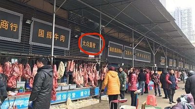 دراسة تكشف: فيروس 