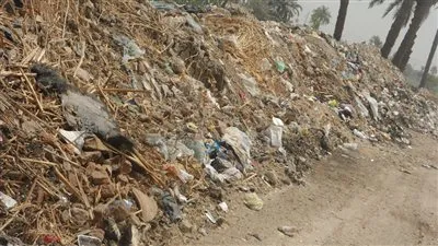 انتشار القمامة والحيوانات النافقة على جانبي طرق سوهاج 