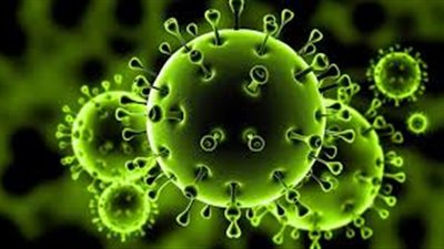 لعدم تسلل فيروس كورونا.. غرفة شركات السياحة توقف الرحلات الصينية