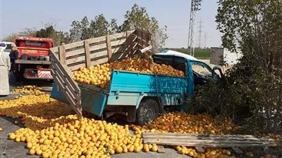 بالأسماء.. إصابة 14 شخصا في تصادم سيارتين بالبحيرة