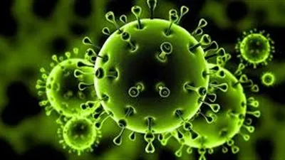 صحة البحر الأحمر: منافذ المحافظة مؤمنة بالكامل لمنع وصول 