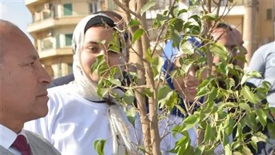 أحياء القاهرة تتزين بالأشجار تفعيلًا لمبادرة 