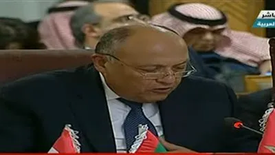 وزير الخارجية: مصر تؤمن بضرورة حصول الفلسطينيين على حقوقهم