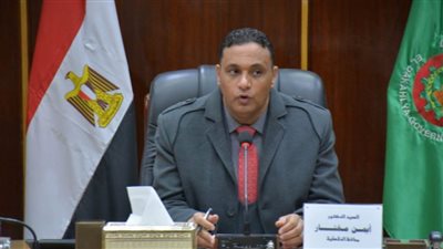 تعرف على مشروعات الدقهلية الجديدة في احتفالات العيد القومي