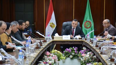 نائب محافظ الدقهلية: نعمل لتطوير المناطق العشوائية