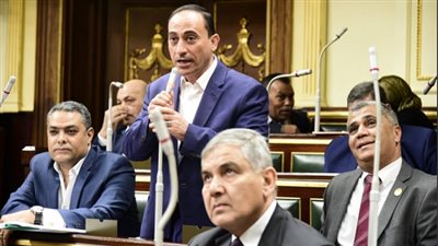 برلماني يطالب وزيرة الصحة بإعلان إجراءات مواجهة كورونا 