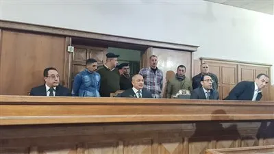 الجدة المتهمة بتعذيب حفيدتها تنفي ارتكابها الجريمة أمام جنايات المنصورة