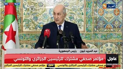 عاجل.. تبون: يجب إبعاد المقاتلين الأجانب عن ليبيا