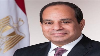 السيسي يصدق على قانوني الهيئات الشبابية والصناديق الخاصة 
