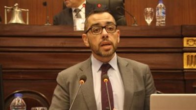 برلماني: عدم تنفيذ قانون ذوي الإعاقة يزيد من معاناة أصحابه 