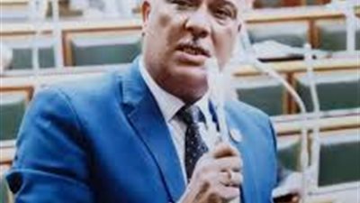 برلماني: قرار الرئيس بتشغيل المصانع المتوقفة يعيد لمصر مكانتها