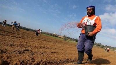 مزارعو غزة يعودون إلى أراضيهم على طول الحدود الإسرائيلية المضطربة