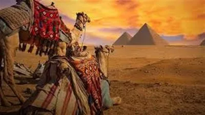 برلماني: توقعات بتضاعف الإنفاق السياحي في مصر