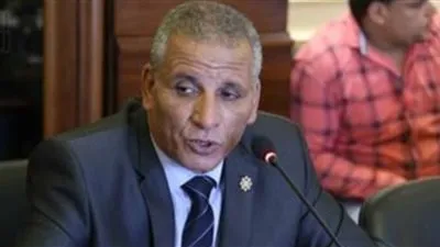 برلماني: قانون تنظيم قوائم الكيانات الإرهابية يحمي مصر من الخونة