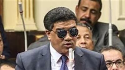 برلماني يطالب بتنفيذ قانون ذوي الإعاقة