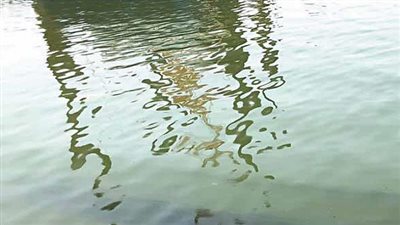 وزارة البيئة تحتوي بقعة زيت في نيل أسوان