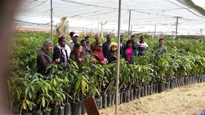 وفد من 22 دولة يتابع أساليب الزراعة الحديثة في الإسماعيلية