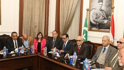 رئيس الوفد: نسعى لوجود تمثيل للمسيحيين في 