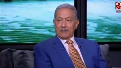 دبلوماسي سابق: مصر حققت إنجازات غير مسبوقة خلال رئاستها للاتحاد الأفريقي